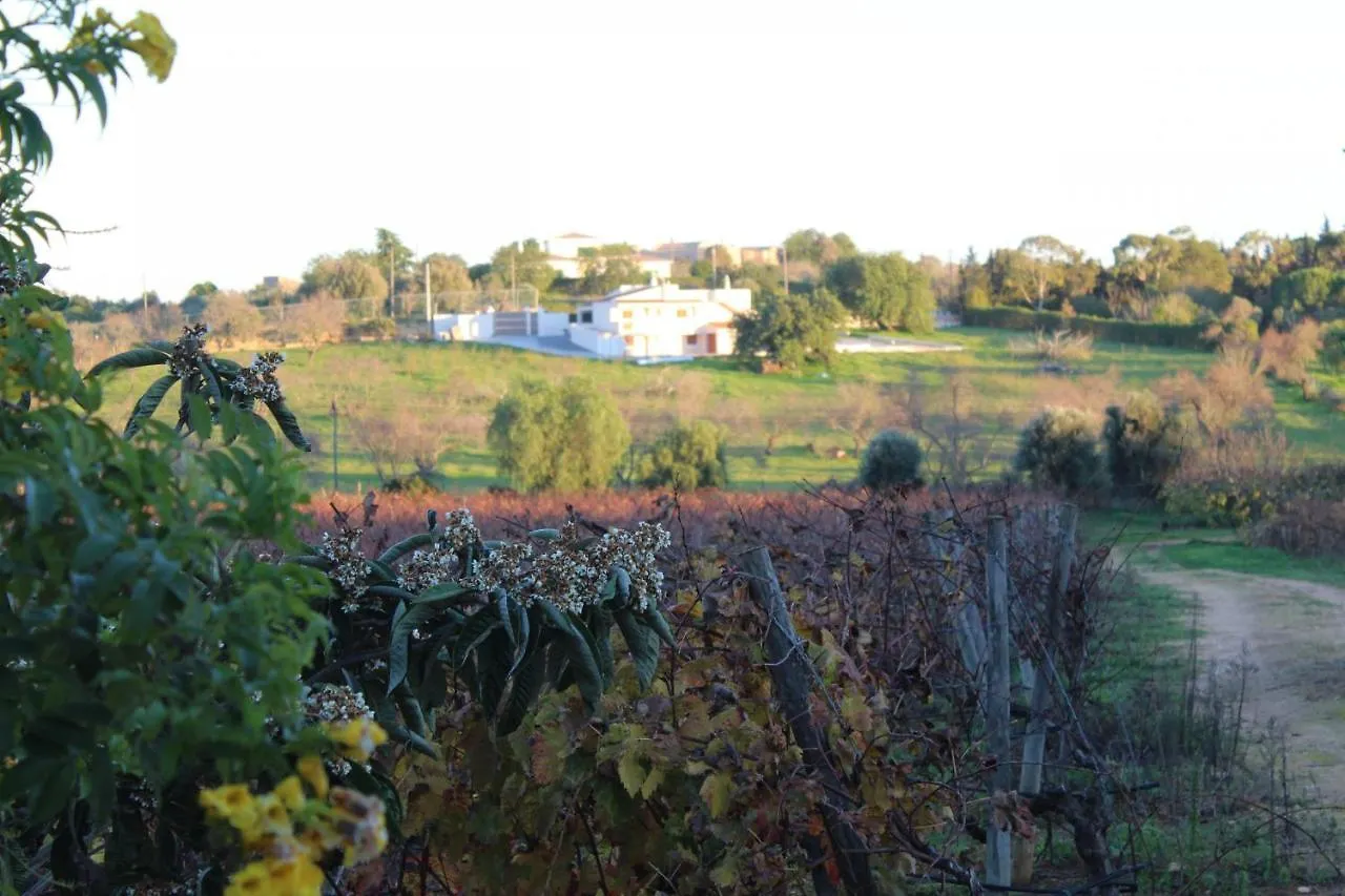 Farm stay Wine House Villa Lagoa
