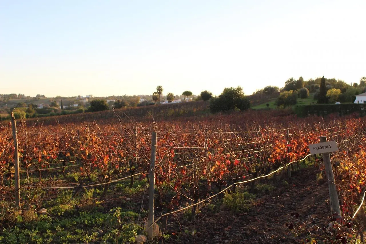 Wine House Villa Lagoa  Portugal