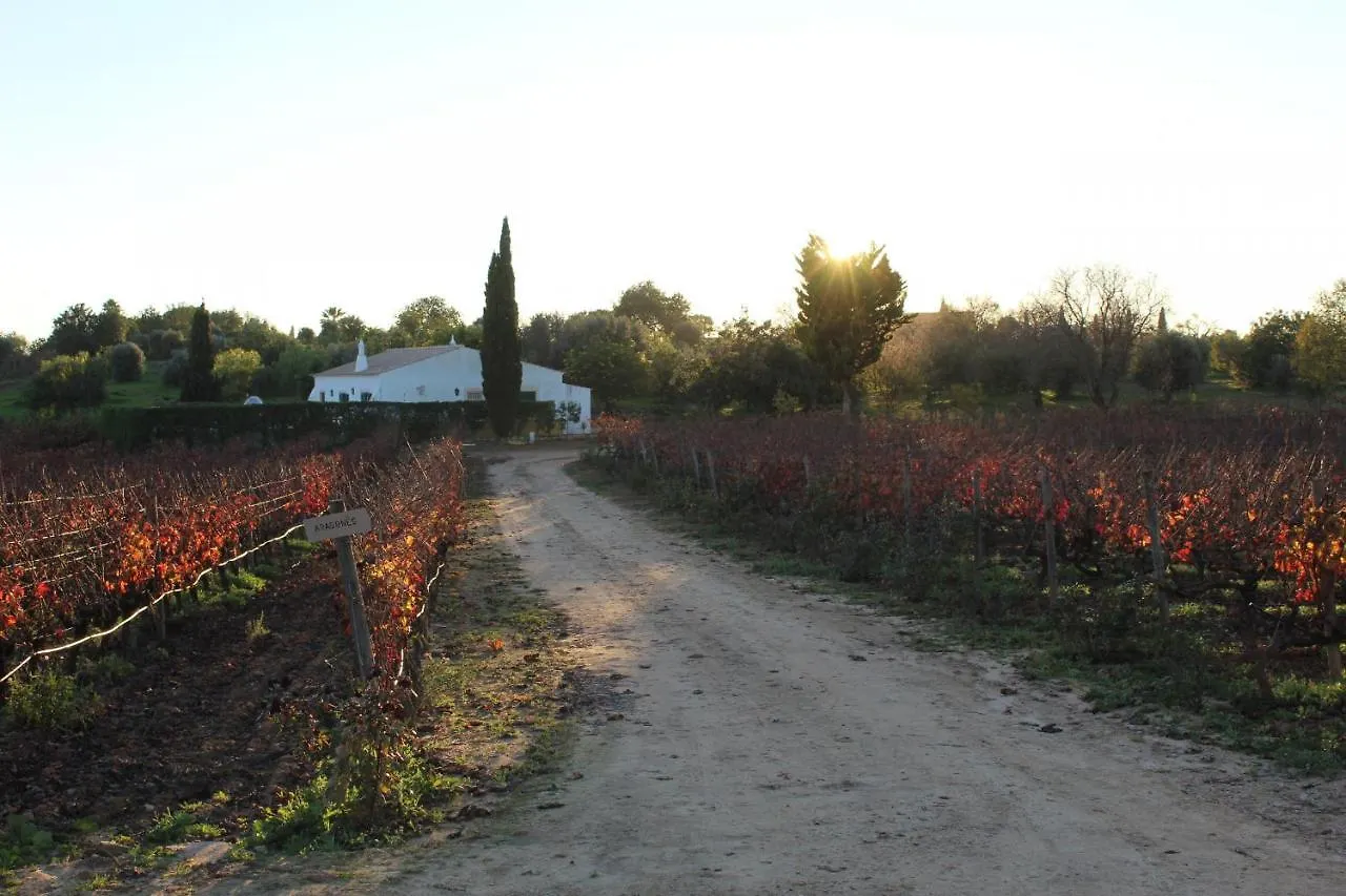 Farm stay Wine House Villa Lagoa