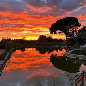 Oasis Camp Portugal Lagoa (Algarve)
